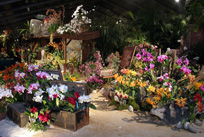 Vue de stand lors de Florissimo 2005 &ndash; cr&eacute;dit photo : Maud Grandjean / Ville de Dijon