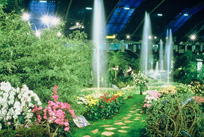 Vue de stand lors d&rsquo;une pr&eacute;c&eacute;dente &eacute;dition de Florissimo &ndash; cr&eacute;dit photo : Ville de Dijon
