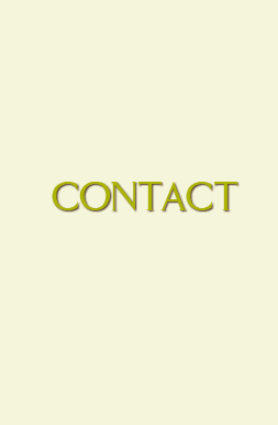 contact solola